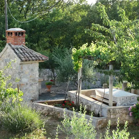 Petra Guest house *